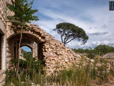  I due sottoscala, visti di lato, creano un pittoresco gioco di archi, impreziosito sullo sfondo da uno dei pini superstiti